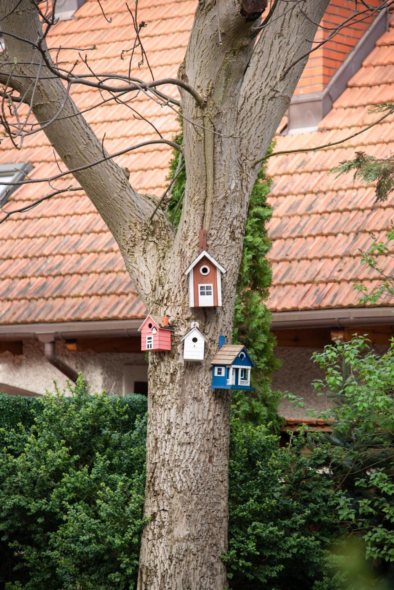 Villa Julius Sopot Exteriör bild